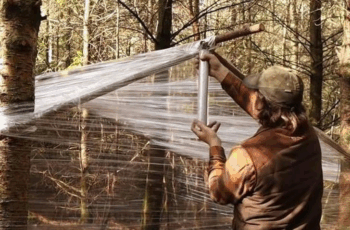 Log Cabin Moisture and Pest Control Tips: How to Keep Your Cabin Safe and Sound