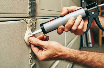 How to Keep Pests Out of Your Cabin: 7 Easy Tips to Prevent and Get Rid of Unwanted Visitors