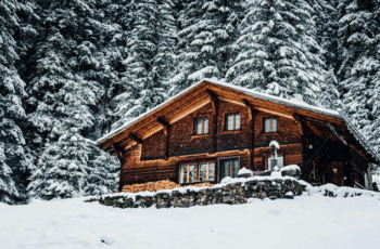 Living in a Log Cabin: What You Need to Know